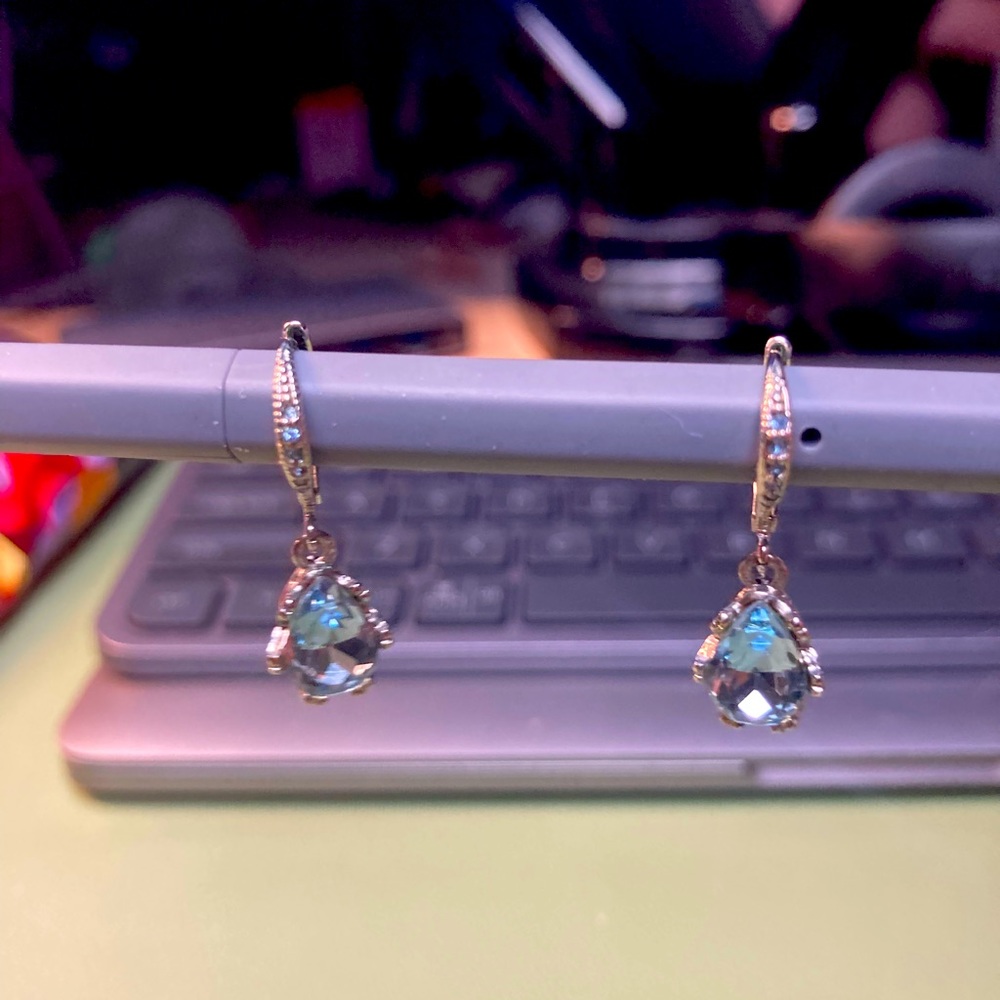 Blue and silver earrings